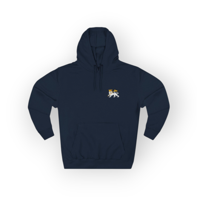 Embroidered Lion of Judah hoodie